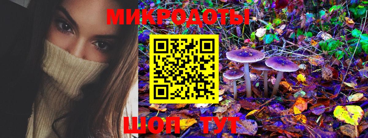 Галлюциногенные грибы Psilocybine cubensis Кызыл
