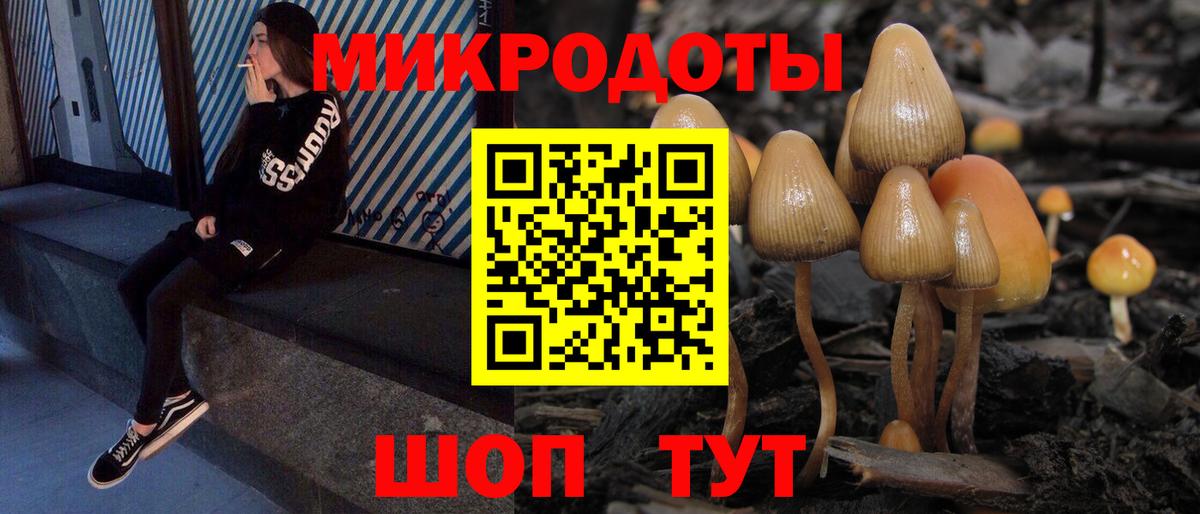 Псилоцибиновые грибы MAGIC MUSHROOMS  Вход с VPN  Кызыл 